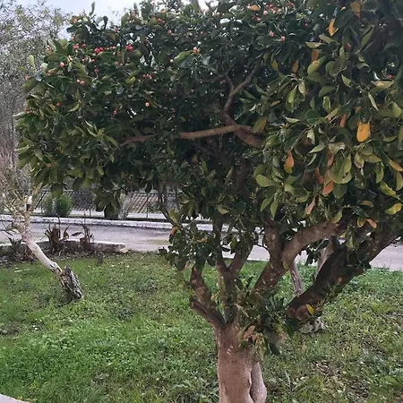 In Banos With Shared Swimming Pool Διαμέρισμα *