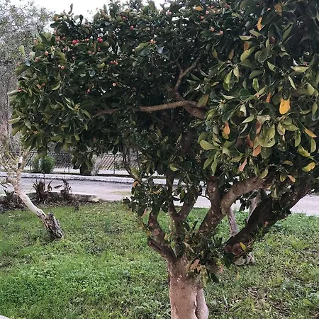 In Banos With Shared Swimming Pool * Рода